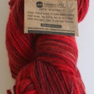 Bariloche – Tango Reds